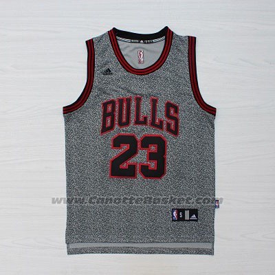 Maglia Moda Statico Chicago Bulls Michael Jordan #23 Grigio